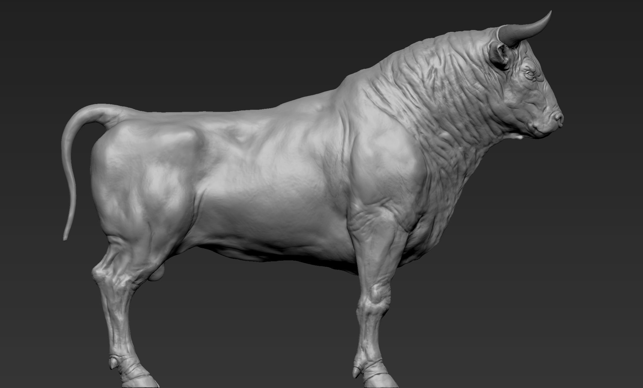 Bull Sculpt 3D model_5
