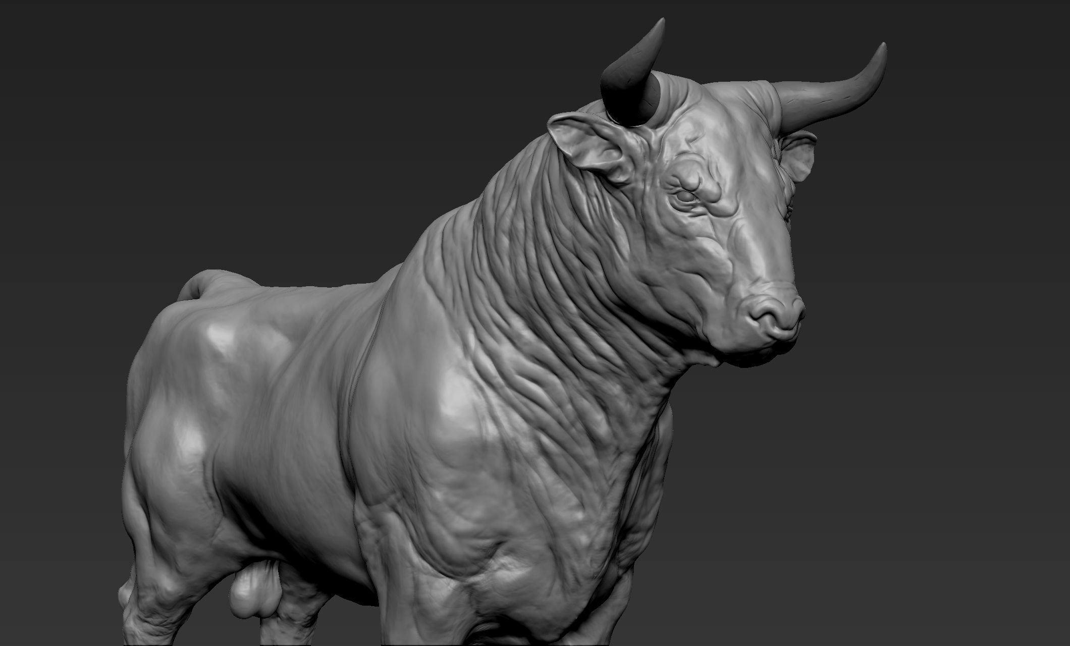 Bull Sculpt 3D model_3