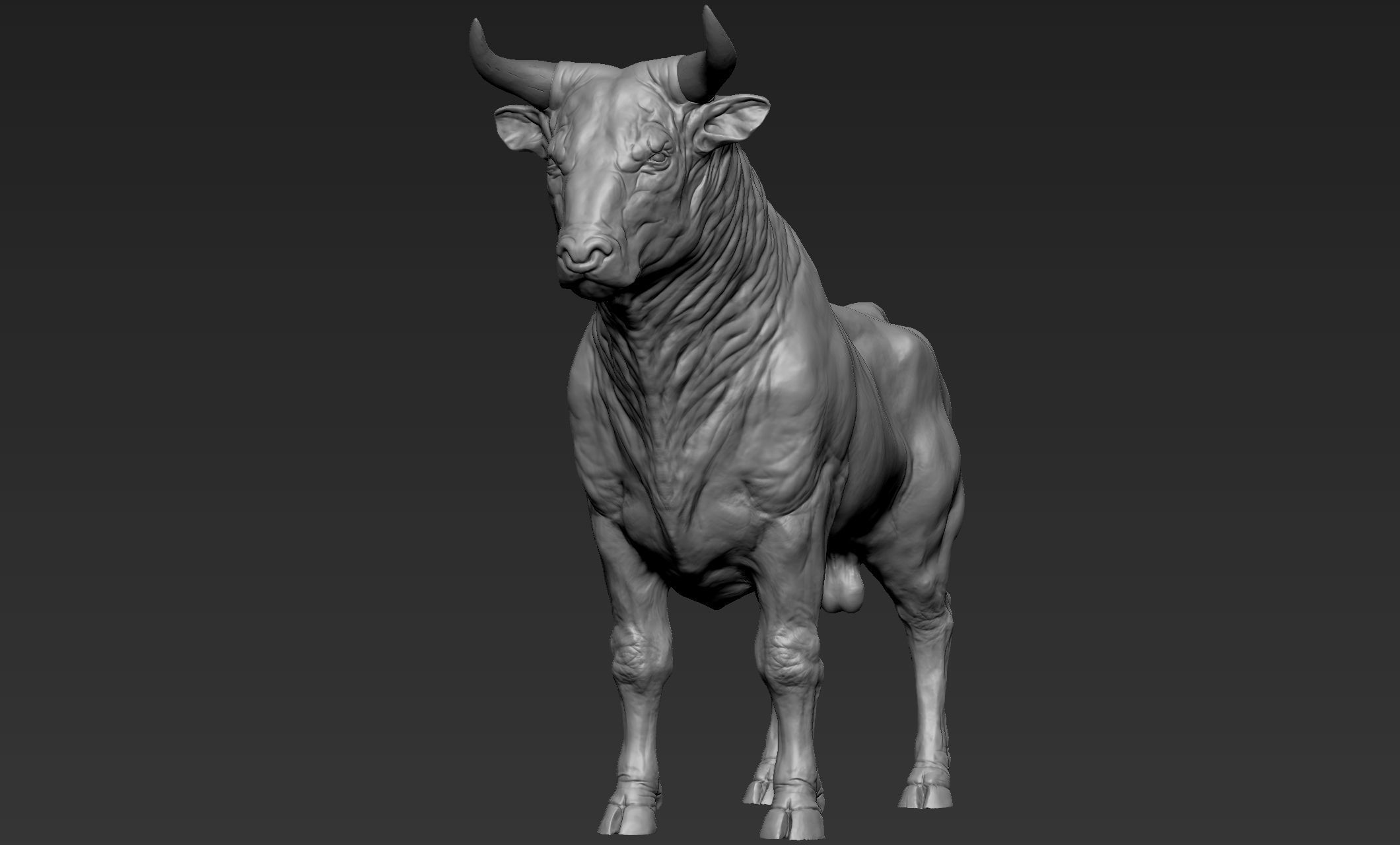 Bull Sculpt 3D model_1