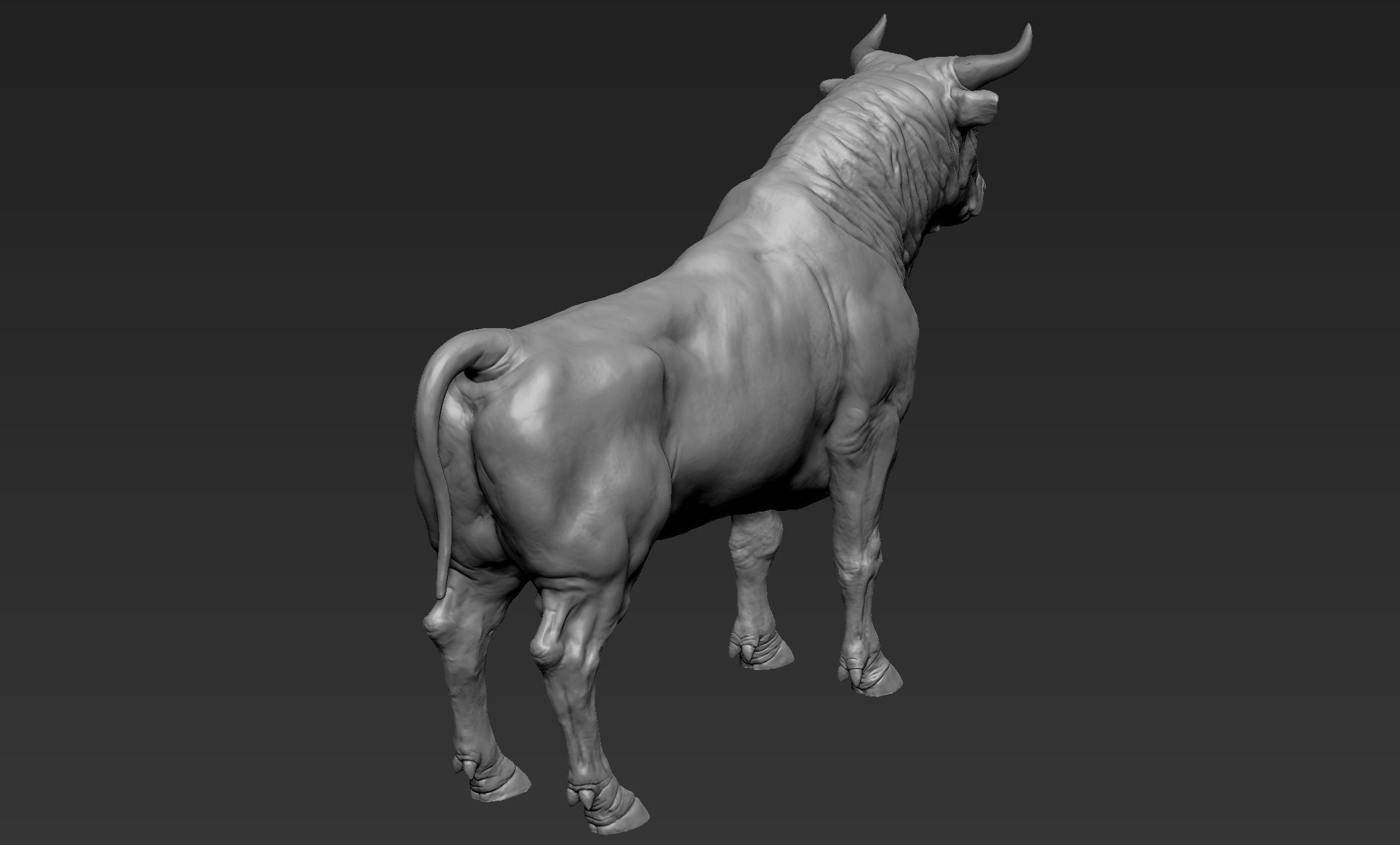 Bull Sculpt 3D model_6