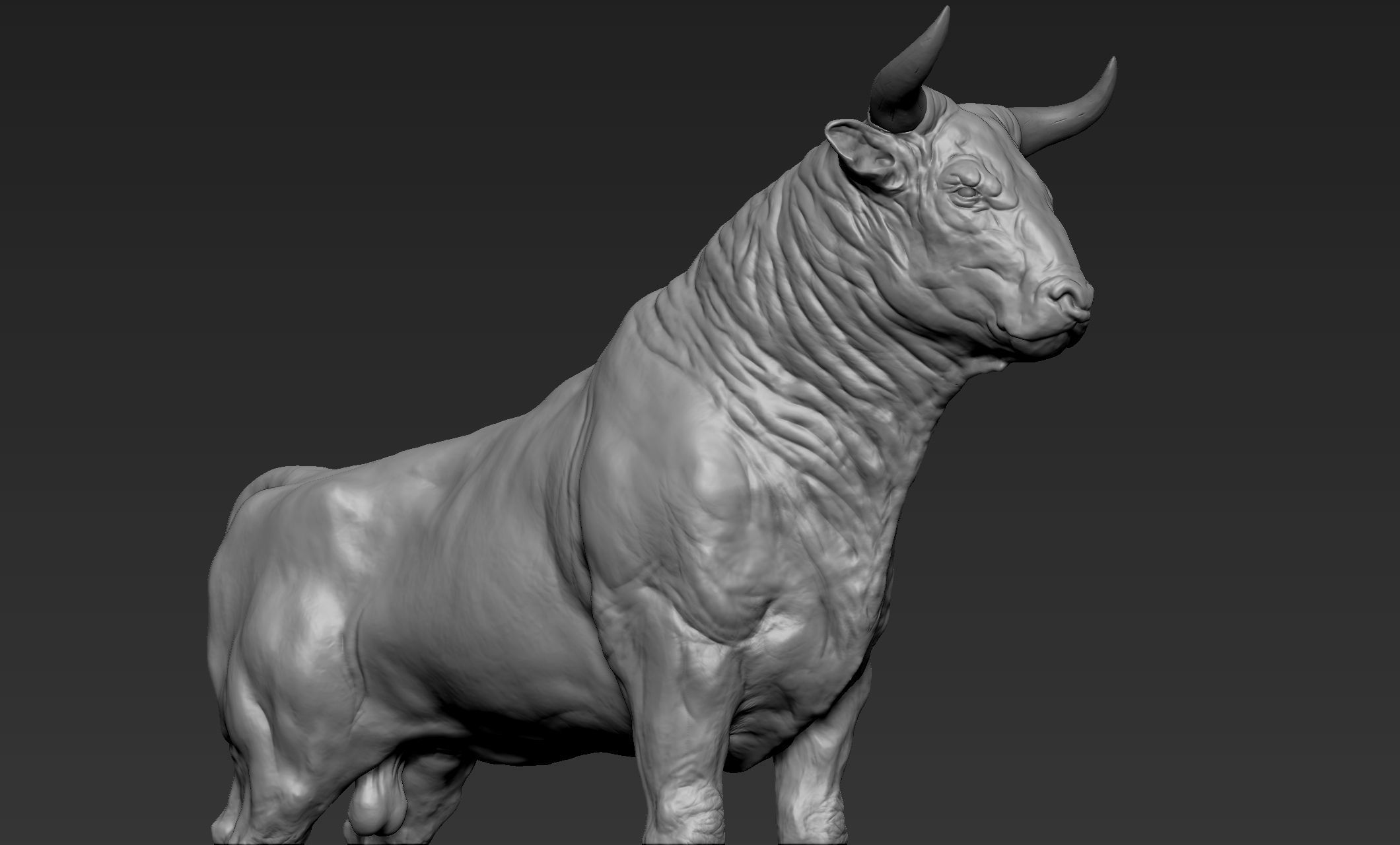 Bull Sculpt 3D model_4