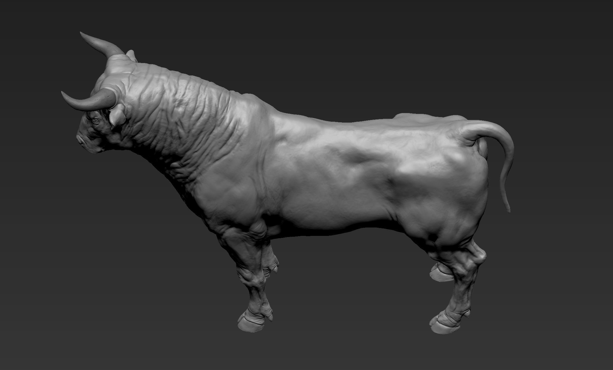 Bull Sculpt 3D model_8