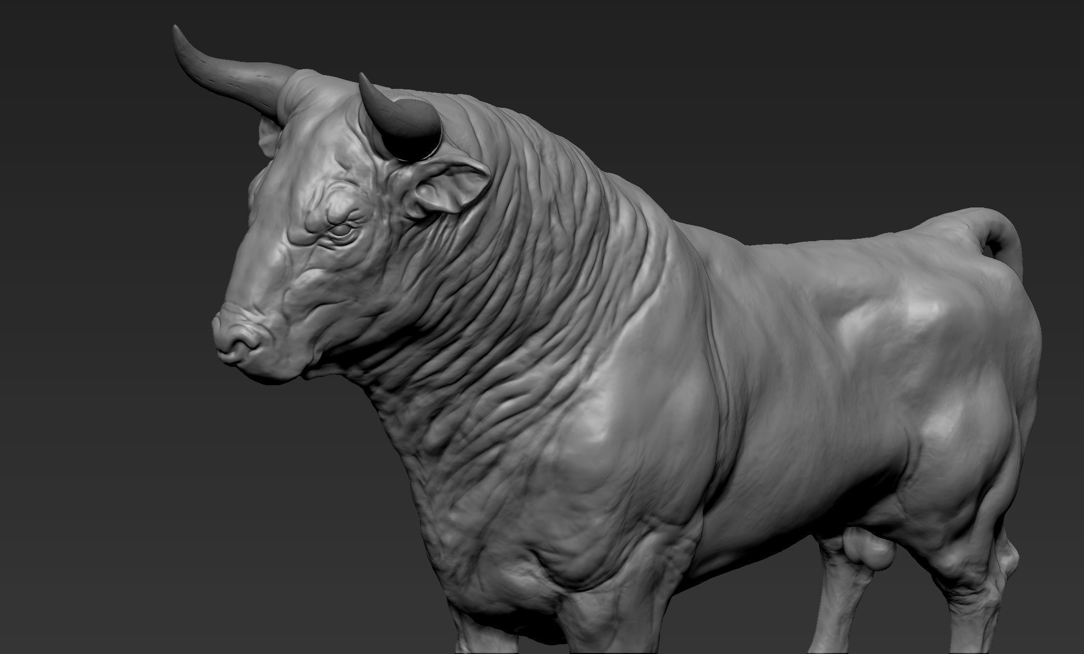 Bull Sculpt 3D model_9