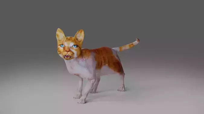 Calico Cat Rigged and Animated V2 in Blender
