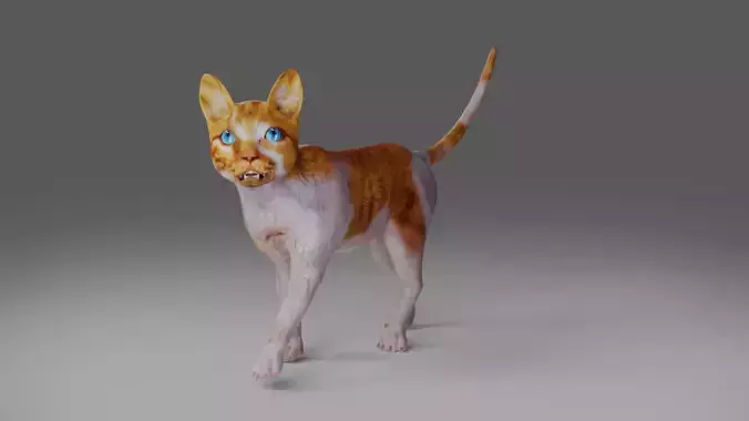 Calico Cat Rigged V2 in Blender Low-poly 3D model