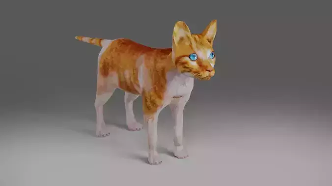 Calico Cat NO Rigged  V2 in Blender