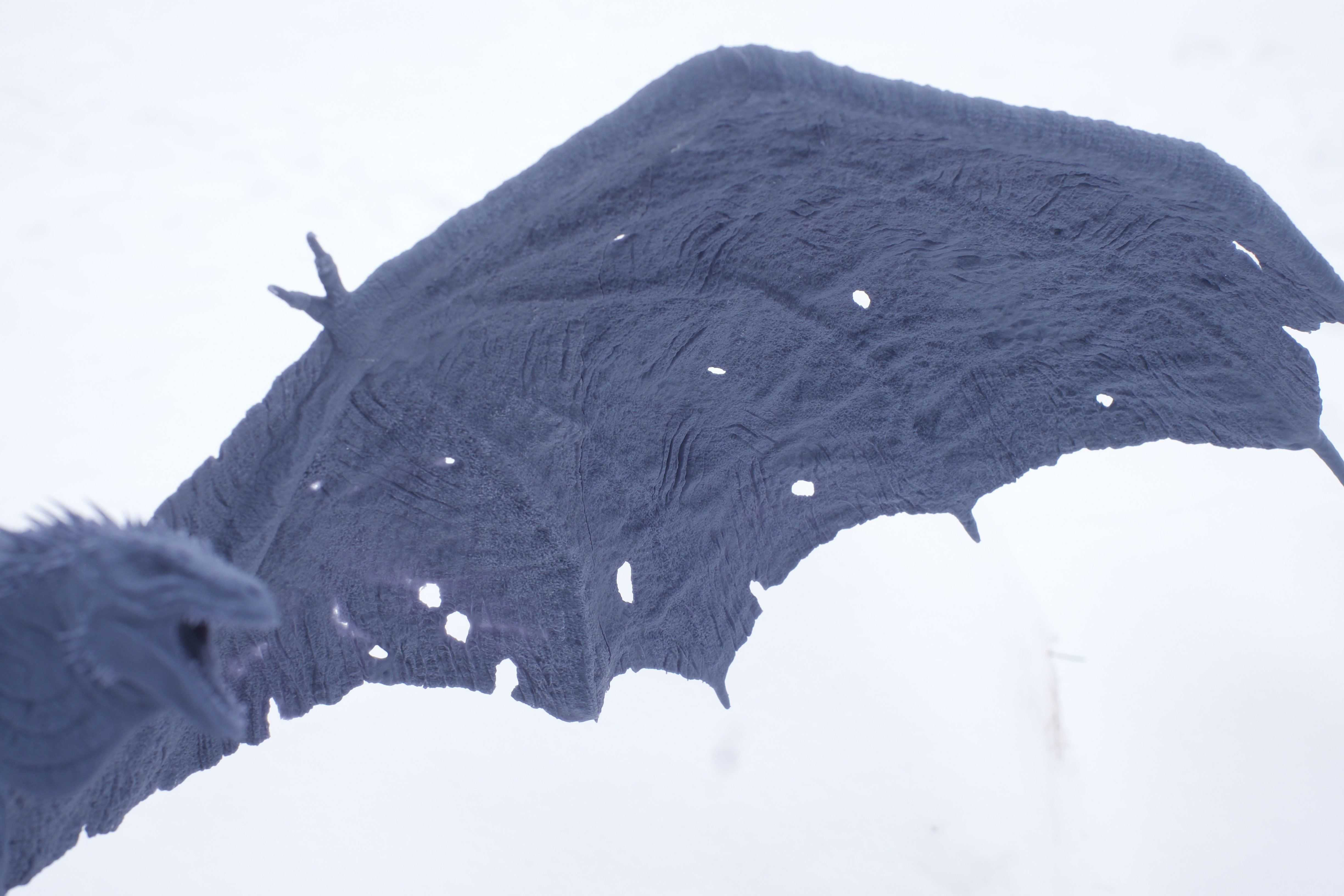 Vhagar House of the Dragon 3D print model_7