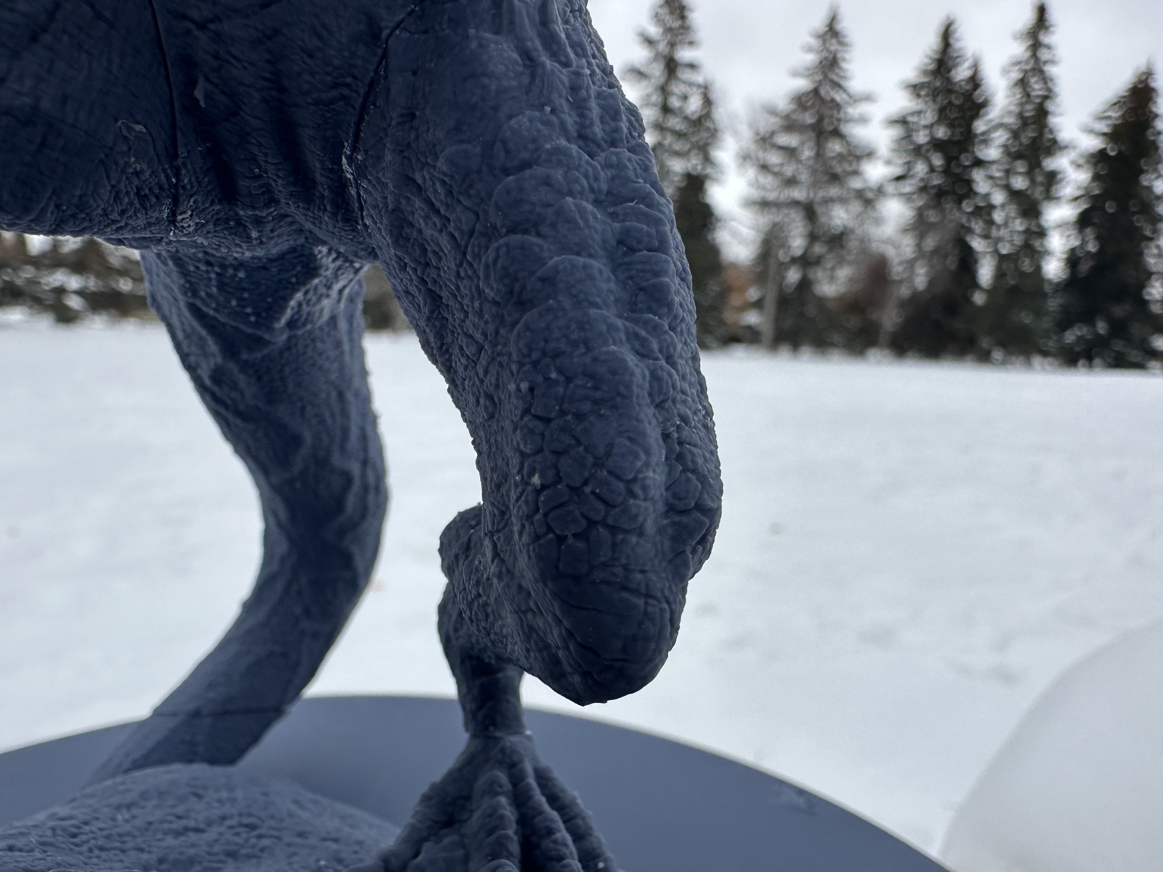 Vhagar House of the Dragon 3D print model_11