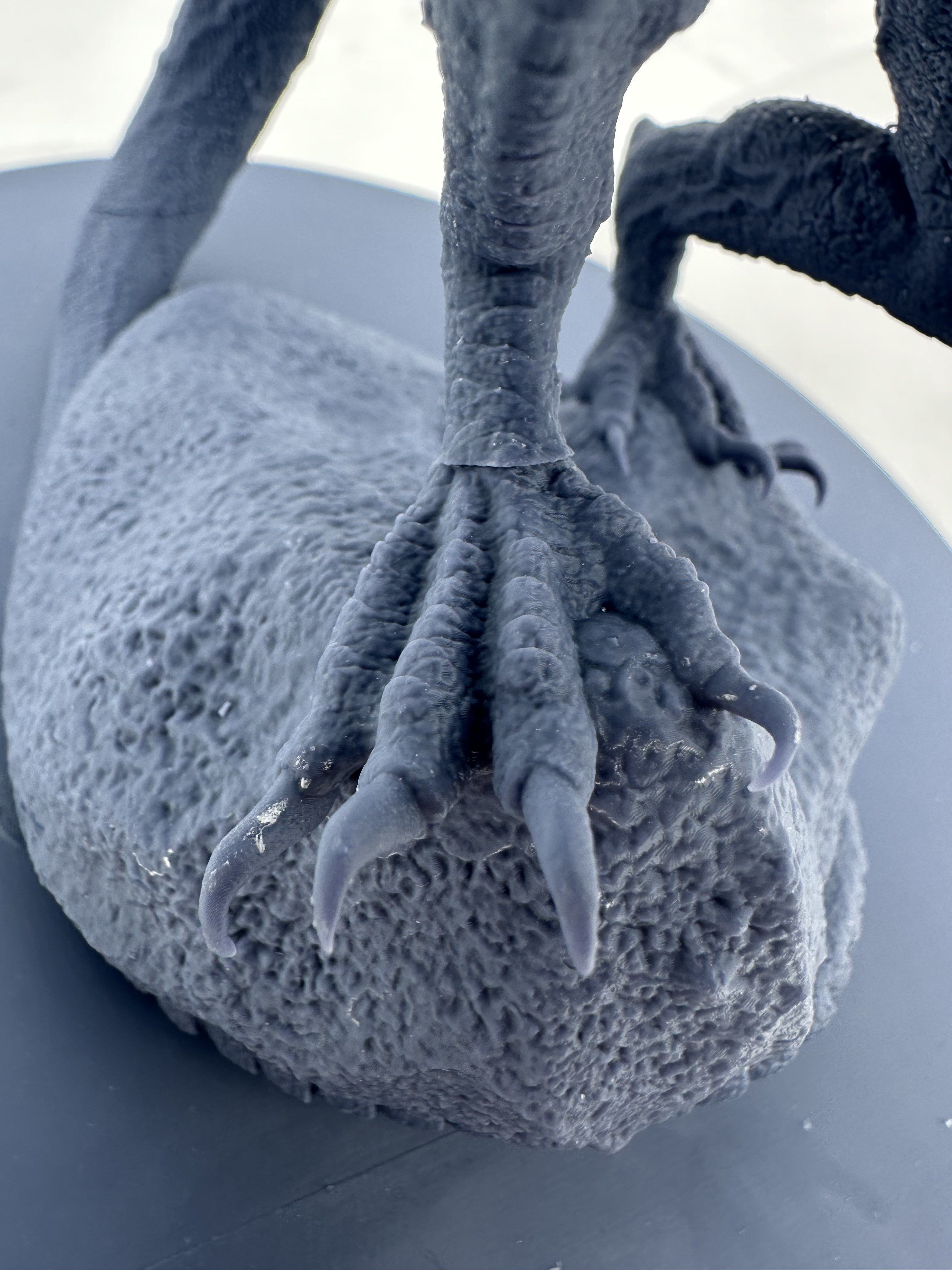 Vhagar House of the Dragon 3D print model_10