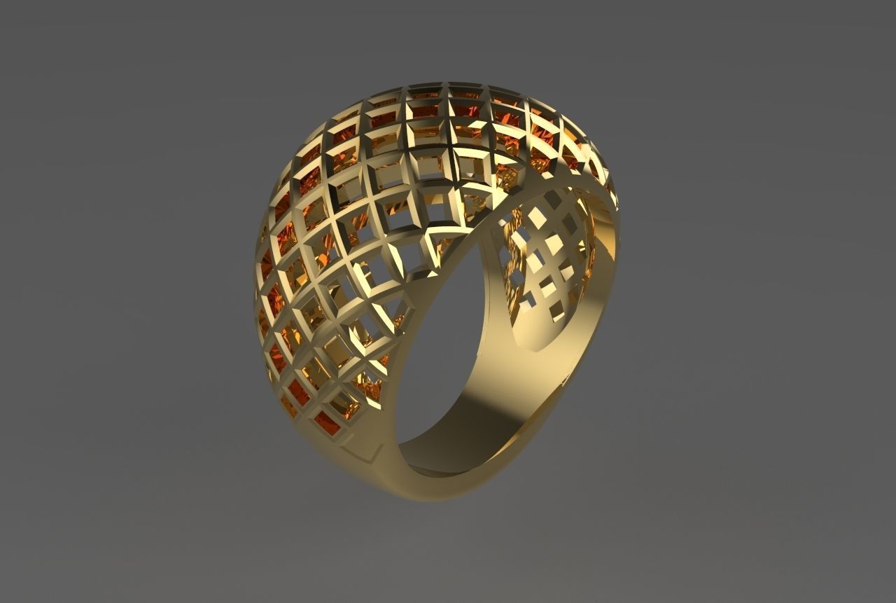 cribriform ring 3D print model_9
