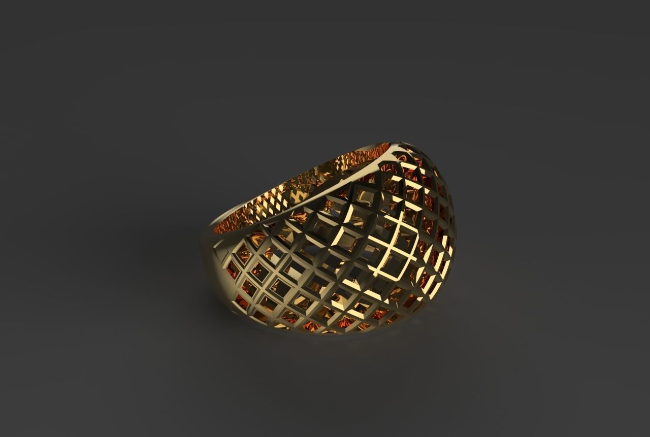 cribriform ring 3D print model_1