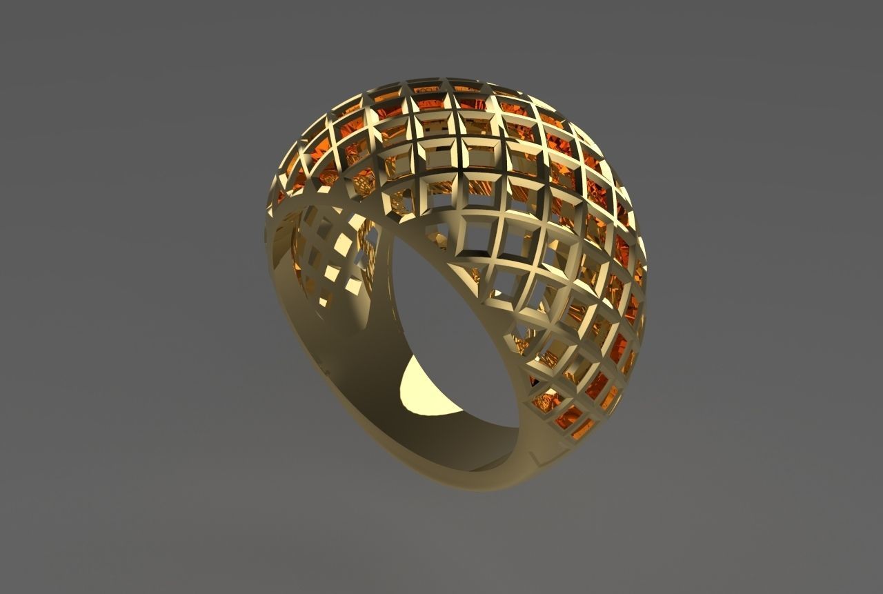 cribriform ring 3D print model_3