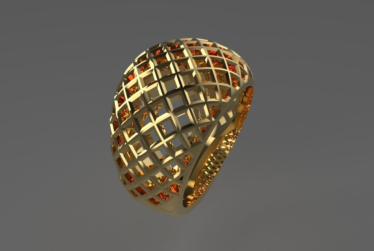 cribriform ring 3D print model_6