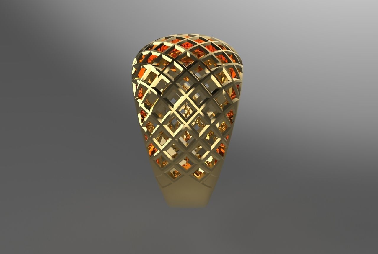 cribriform ring 3D print model_7