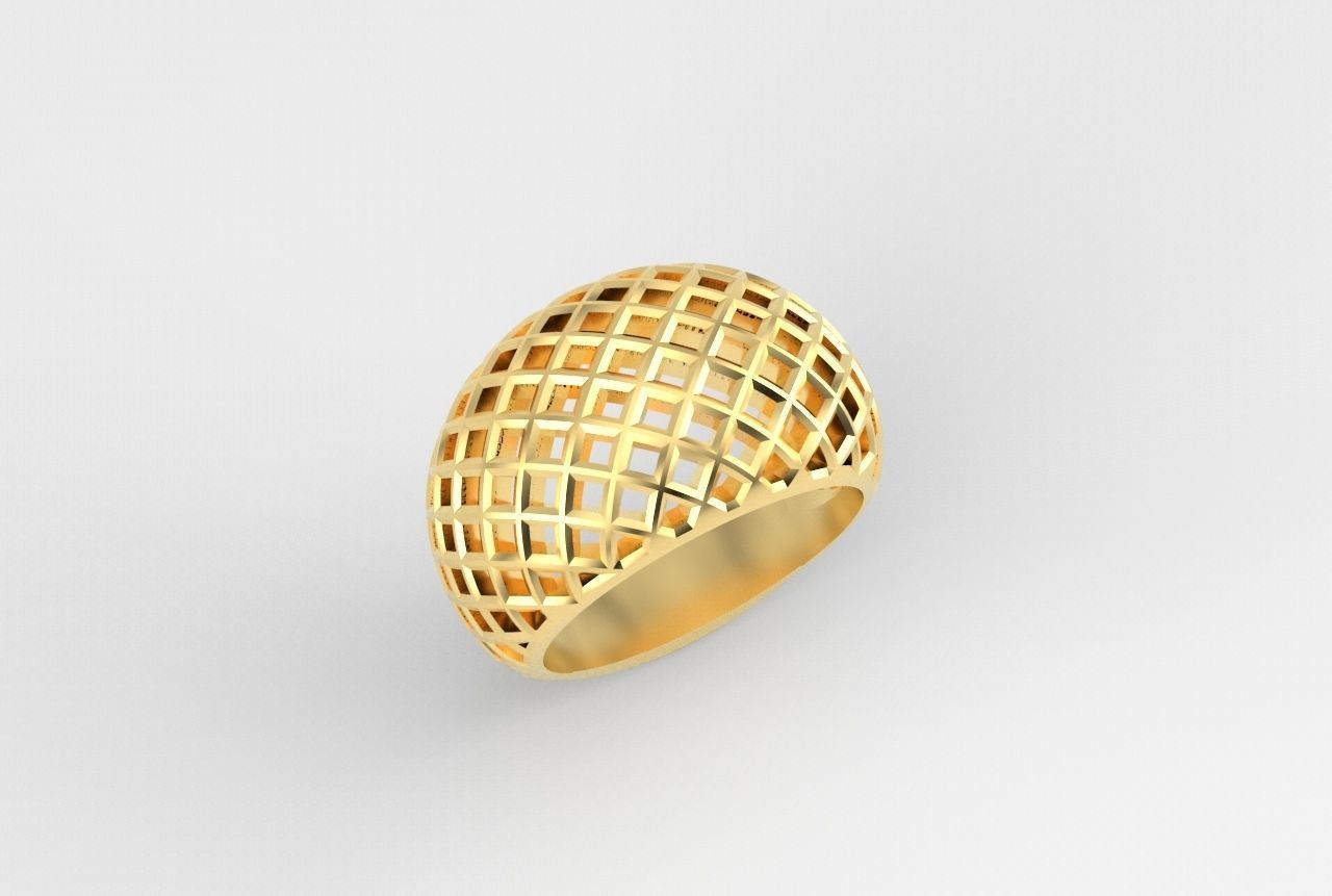 cribriform ring 3D print model_24