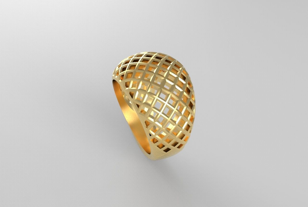 cribriform ring 3D print model_21