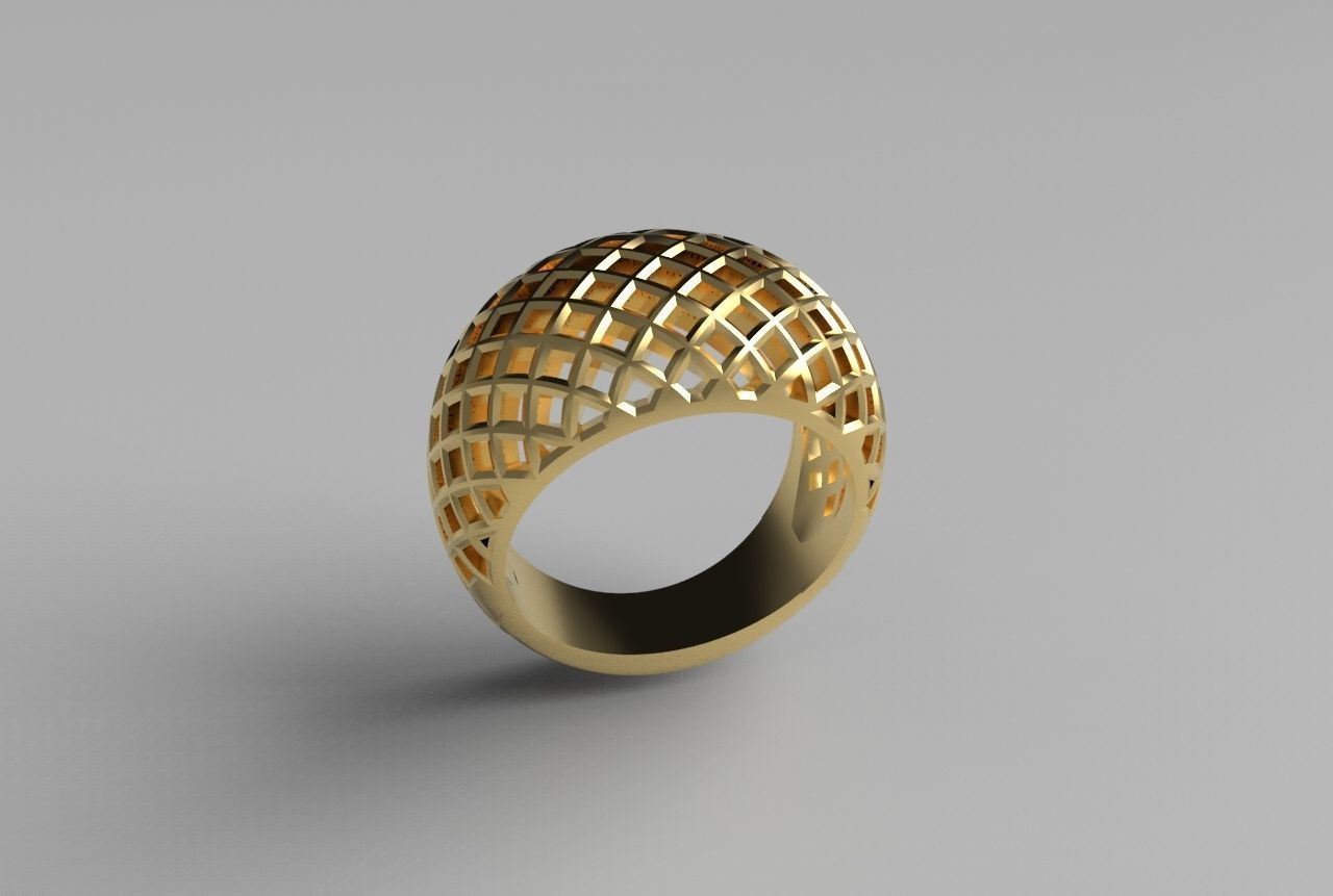 cribriform ring 3D print model_28