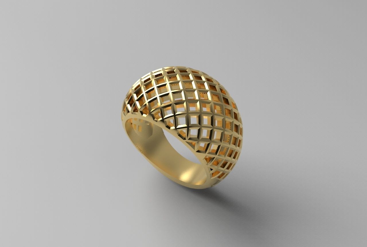 cribriform ring 3D print model_25