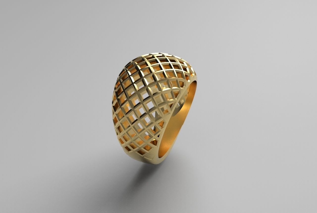 cribriform ring 3D print model_27