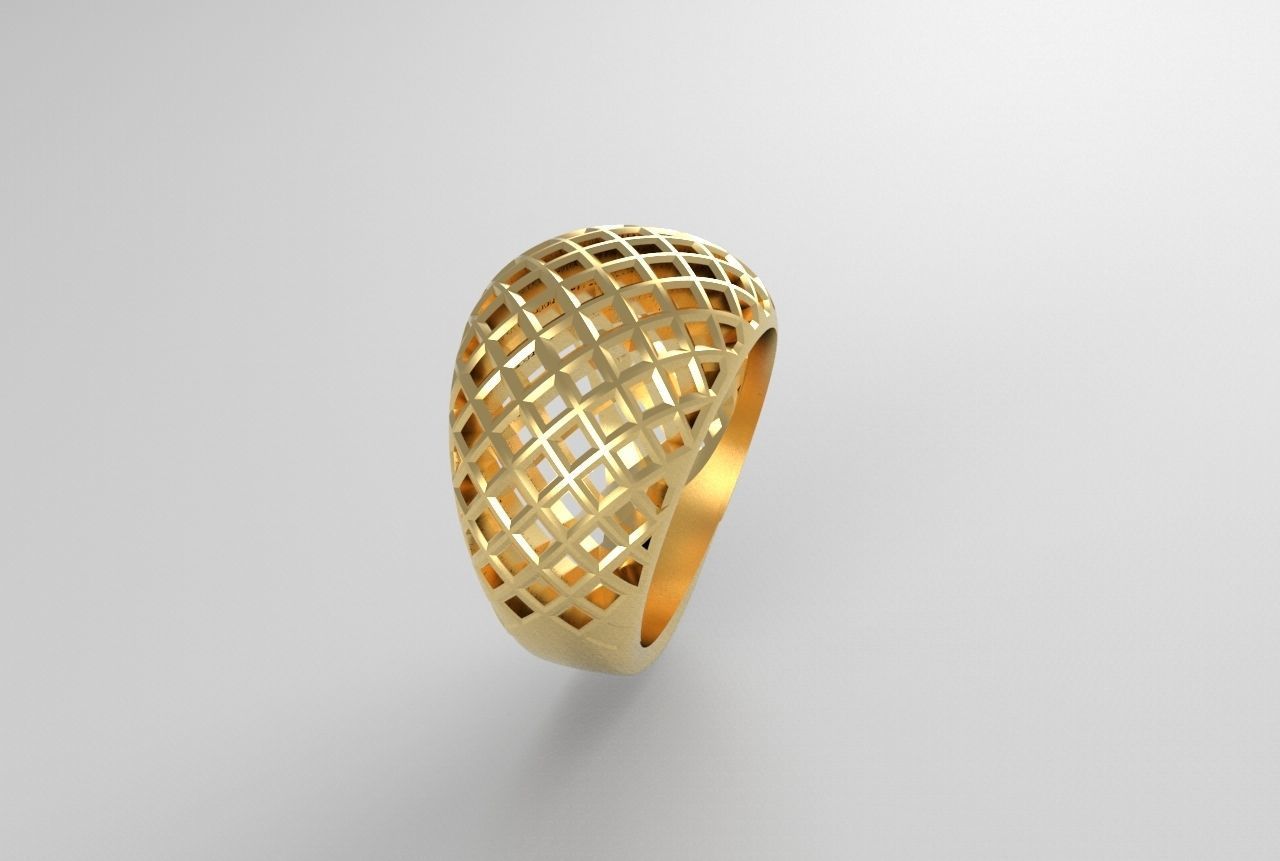 cribriform ring 3D print model_11