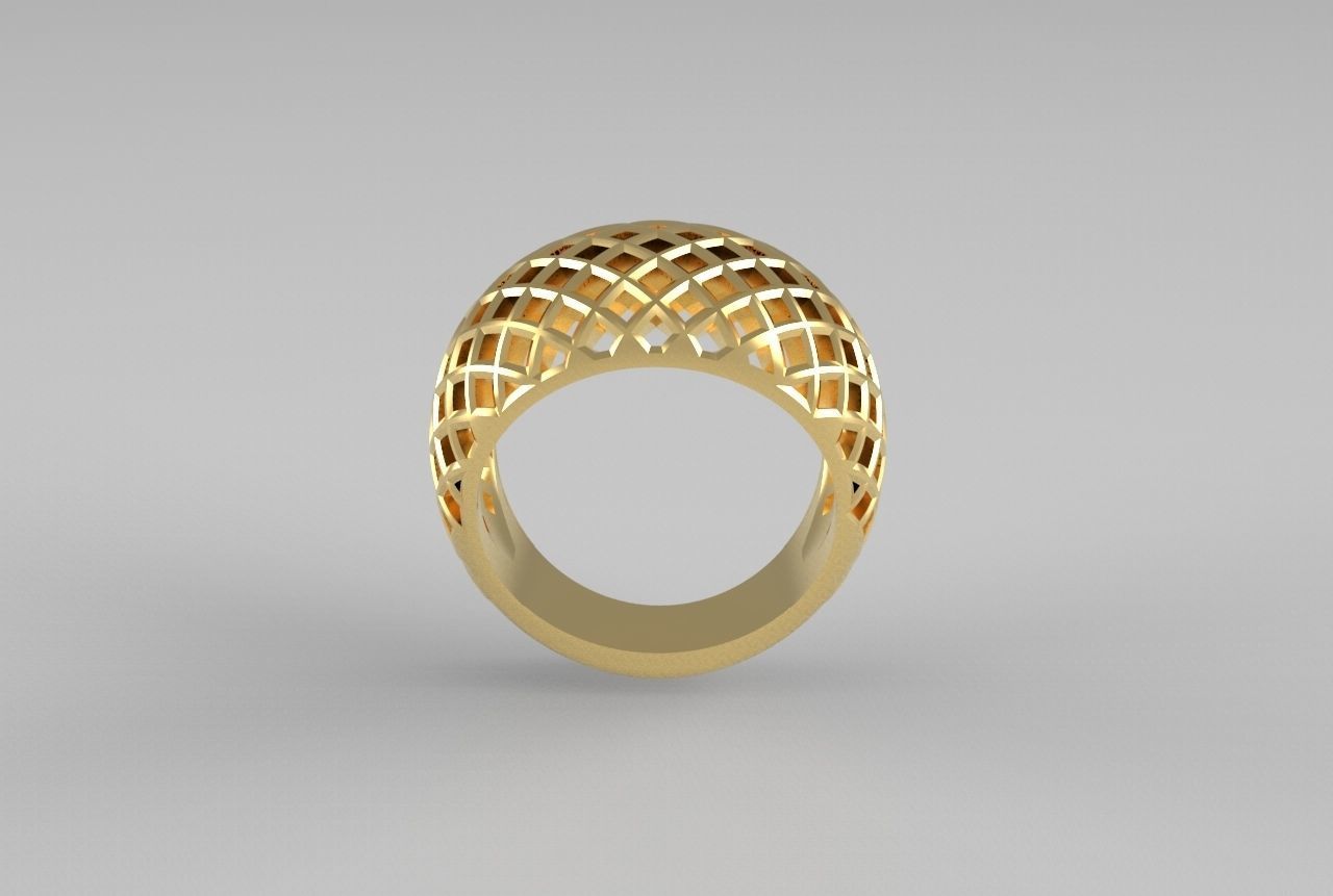 cribriform ring 3D print model_20