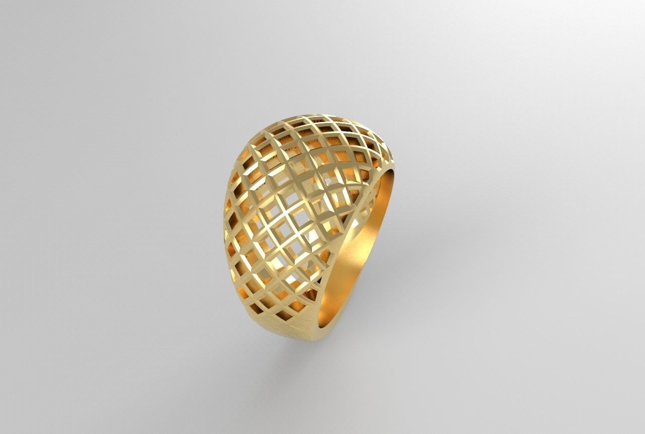 cribriform ring 3D print model_15