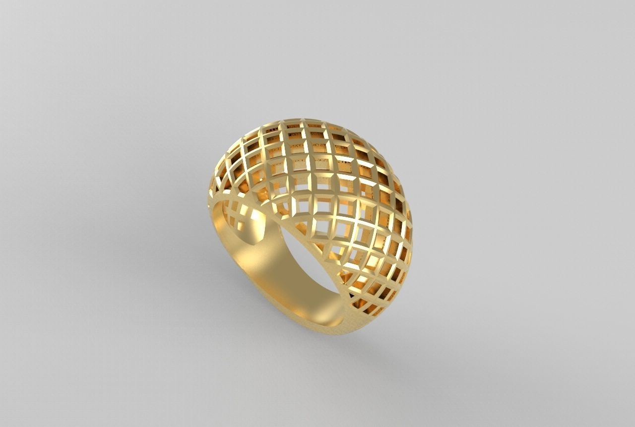 cribriform ring 3D print model_14