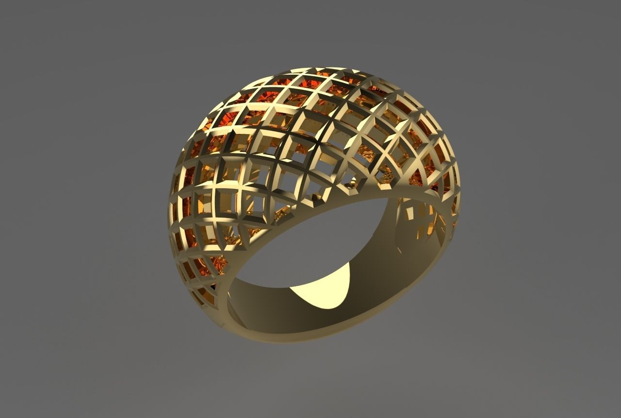 cribriform ring 3D print model_4