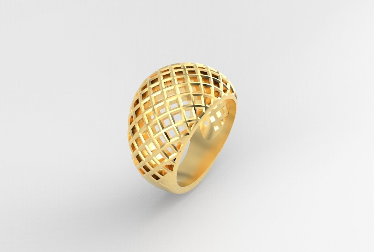cribriform ring 3D print model_23