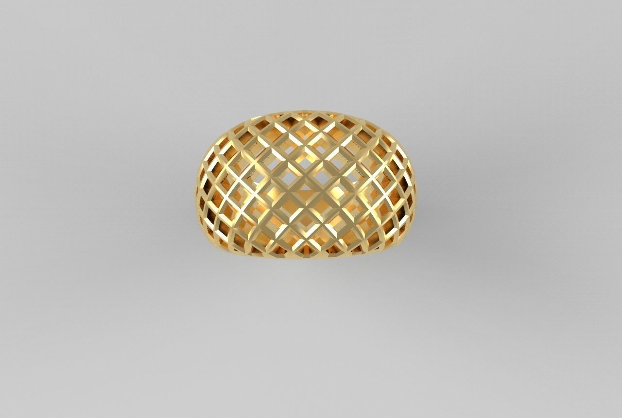cribriform ring 3D print model_17