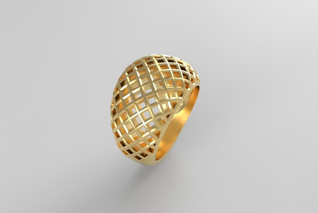 cribriform ring 3D print model_19
