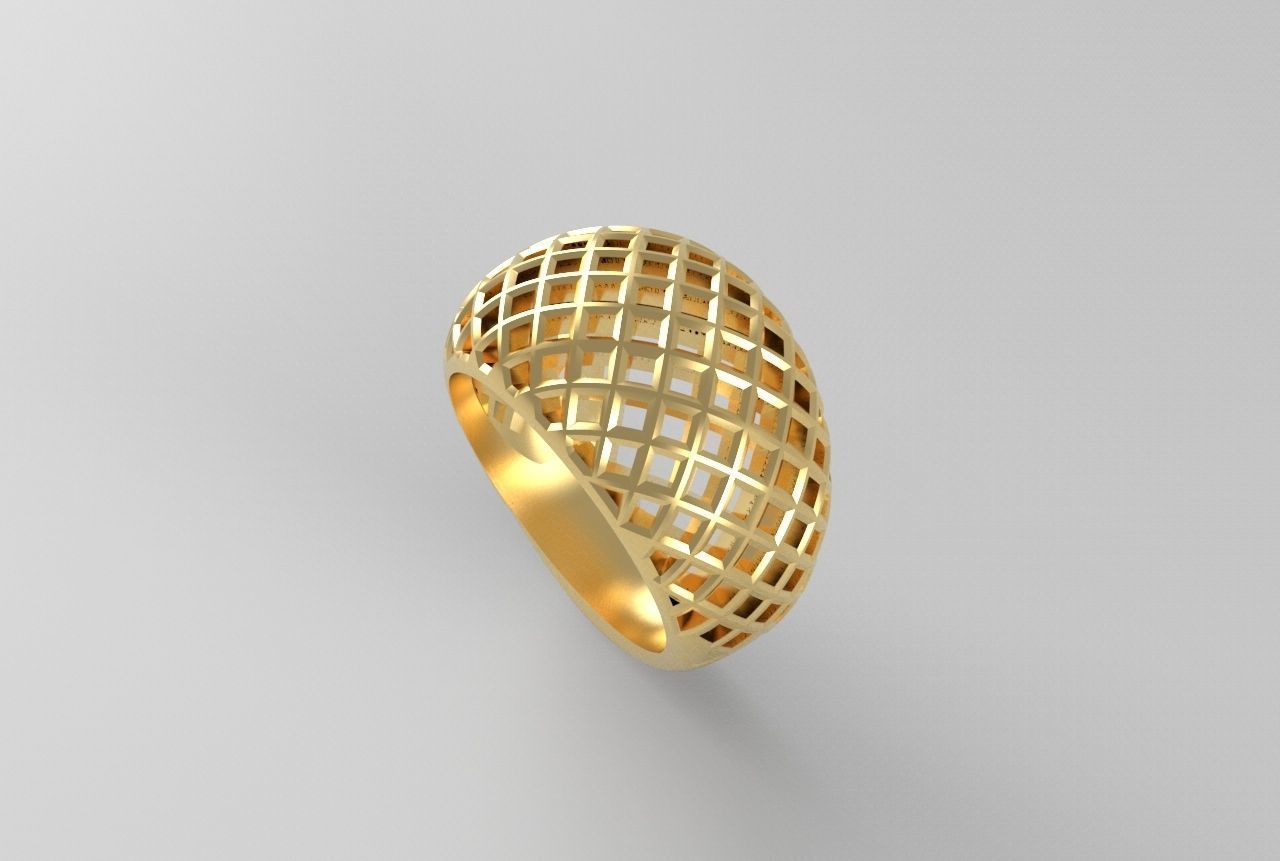 cribriform ring 3D print model_18
