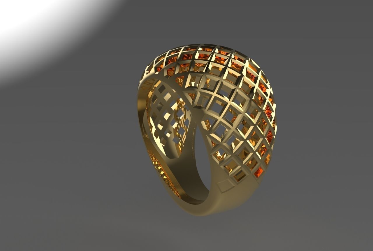 cribriform ring 3D print model_2