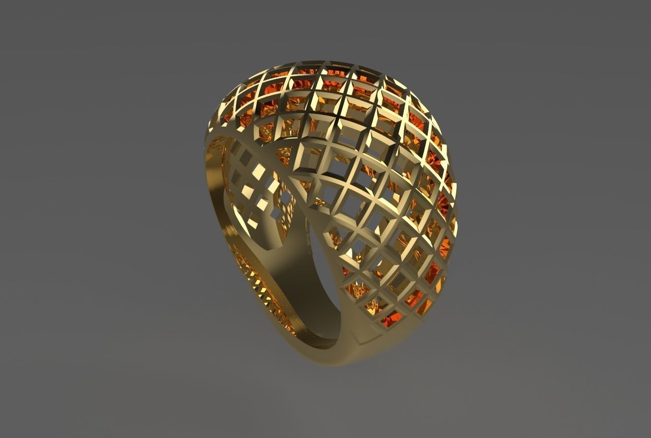 cribriform ring 3D print model_8