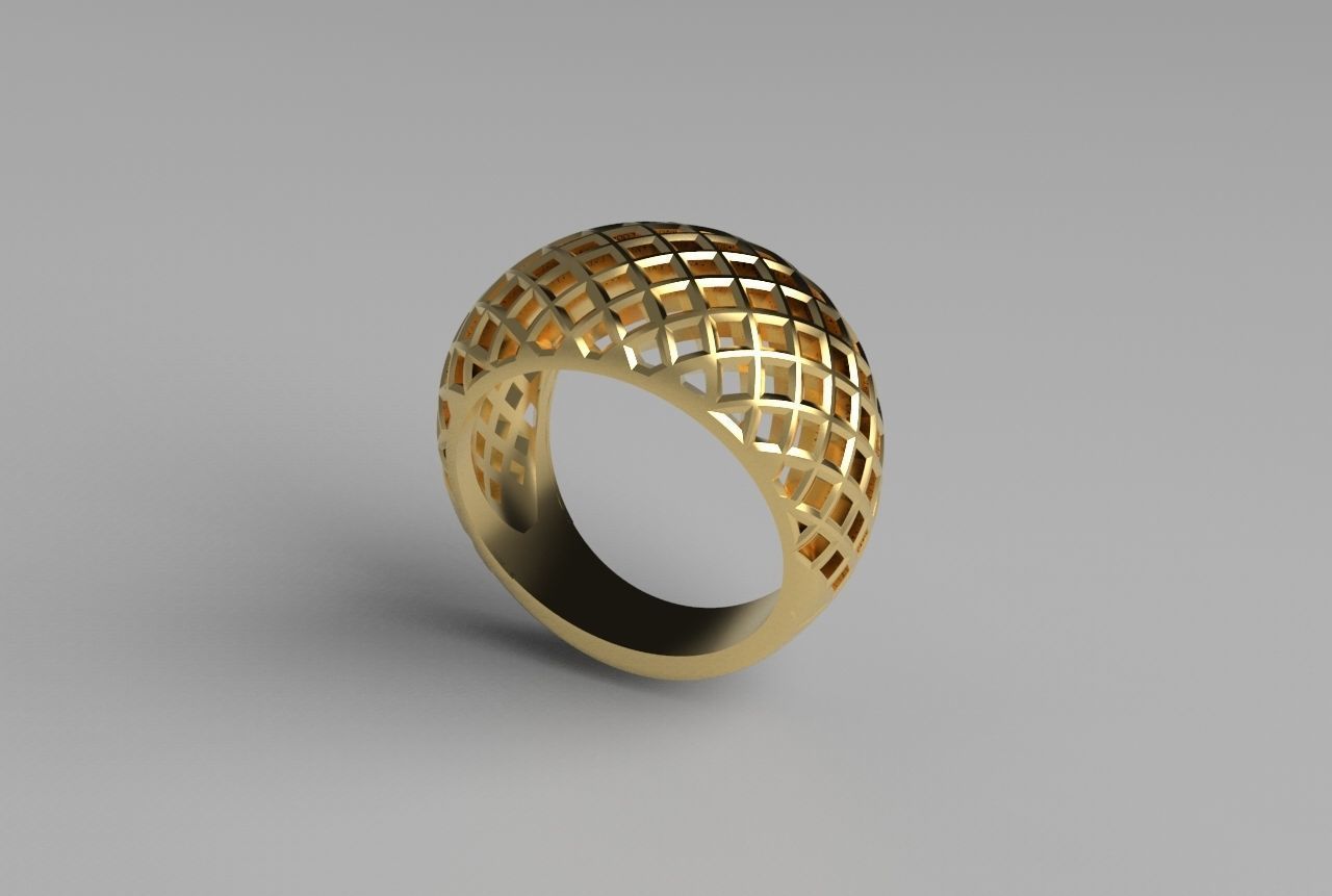 cribriform ring 3D print model_29