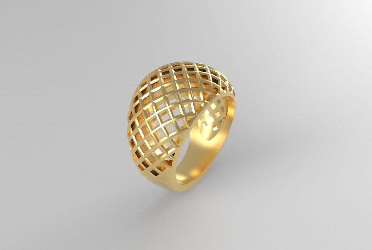 cribriform ring 3D print model_22
