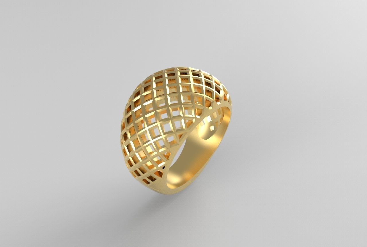 cribriform ring 3D print model_12
