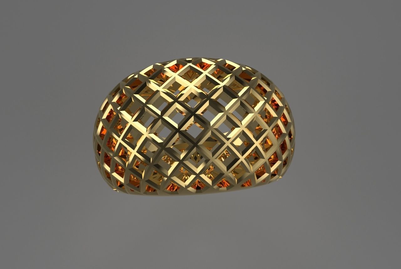 cribriform ring 3D print model_5