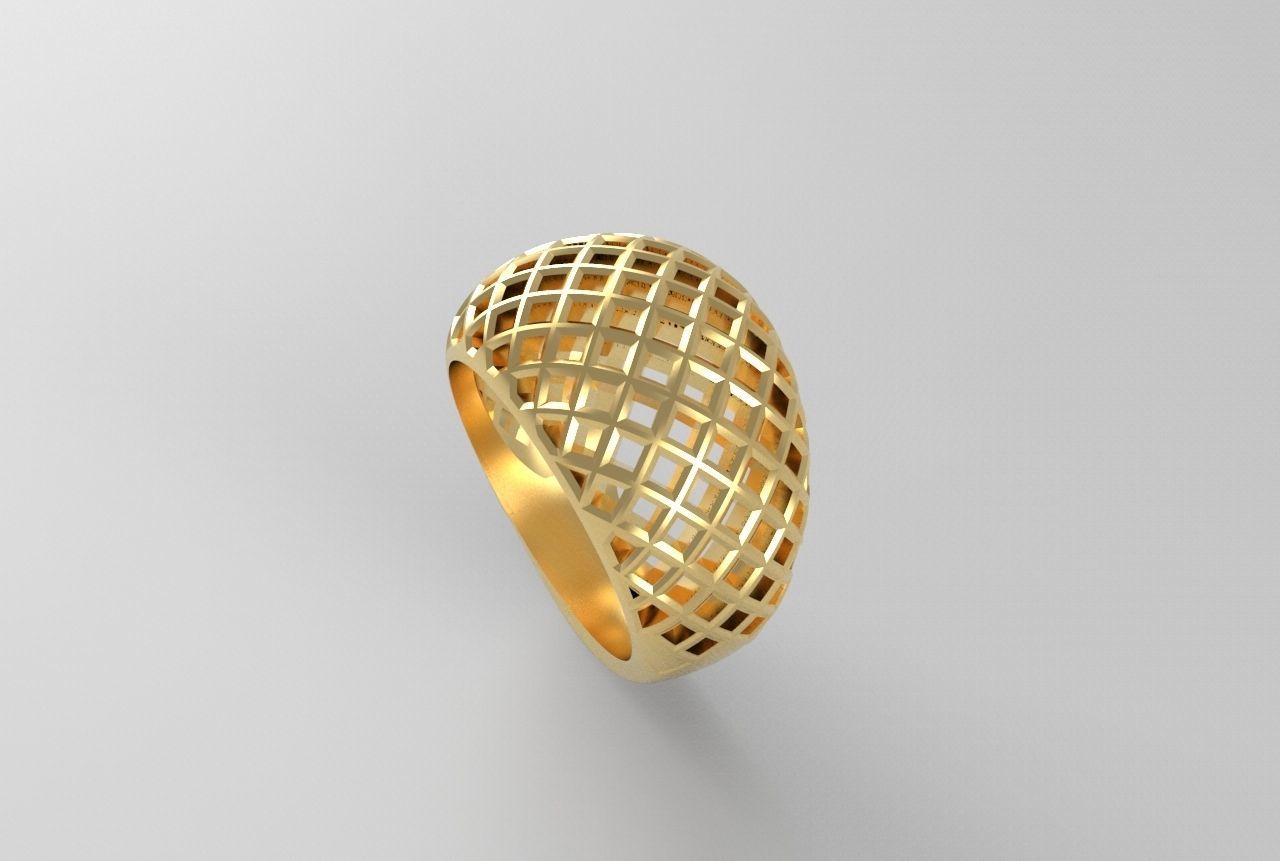 cribriform ring 3D print model_10