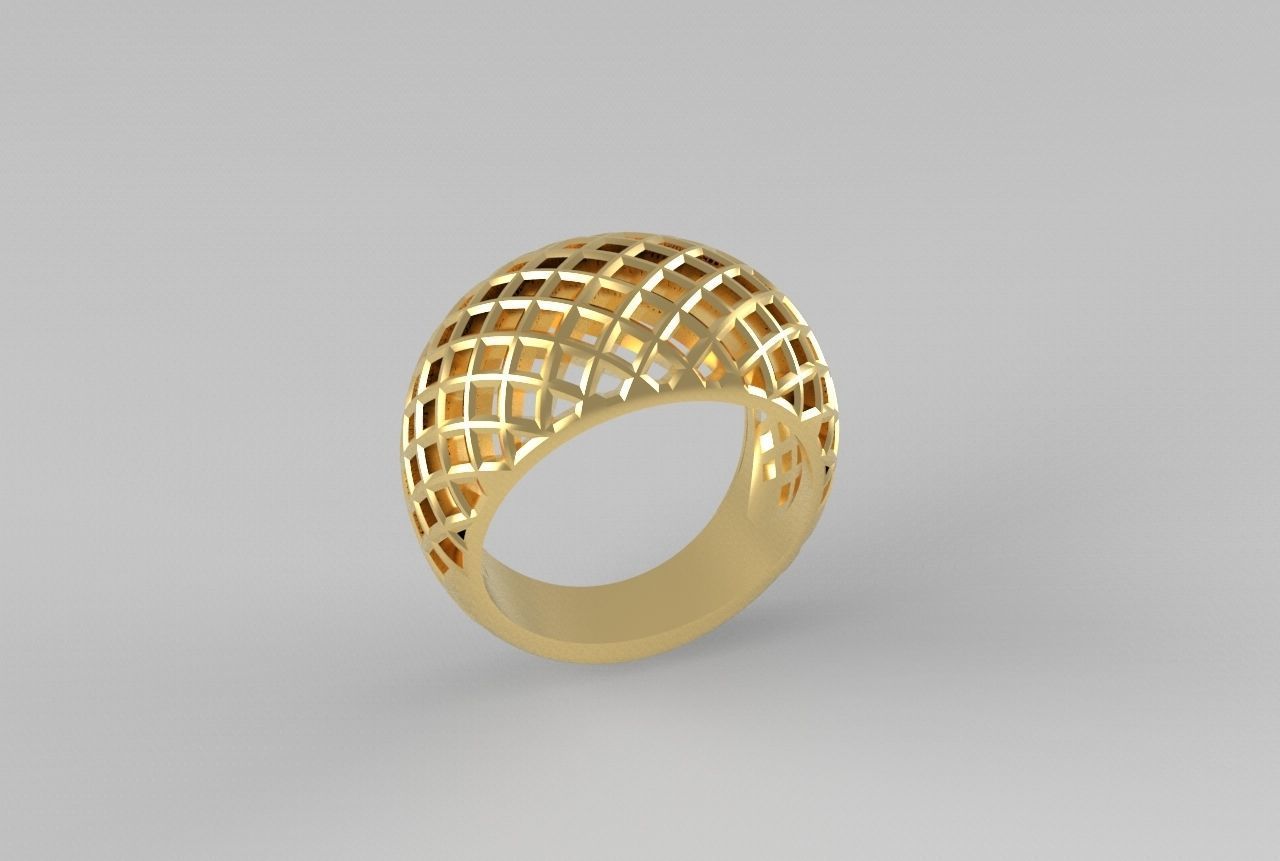 cribriform ring 3D print model_16