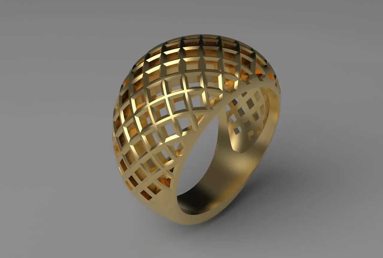 cribriform ring 3D print model_0