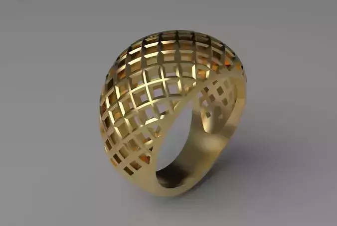 cribriform ring 3D print model