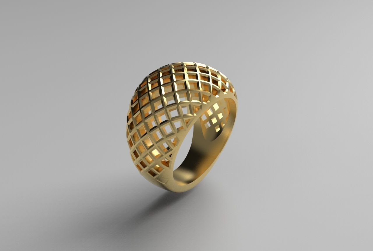 cribriform ring 3D print model_26