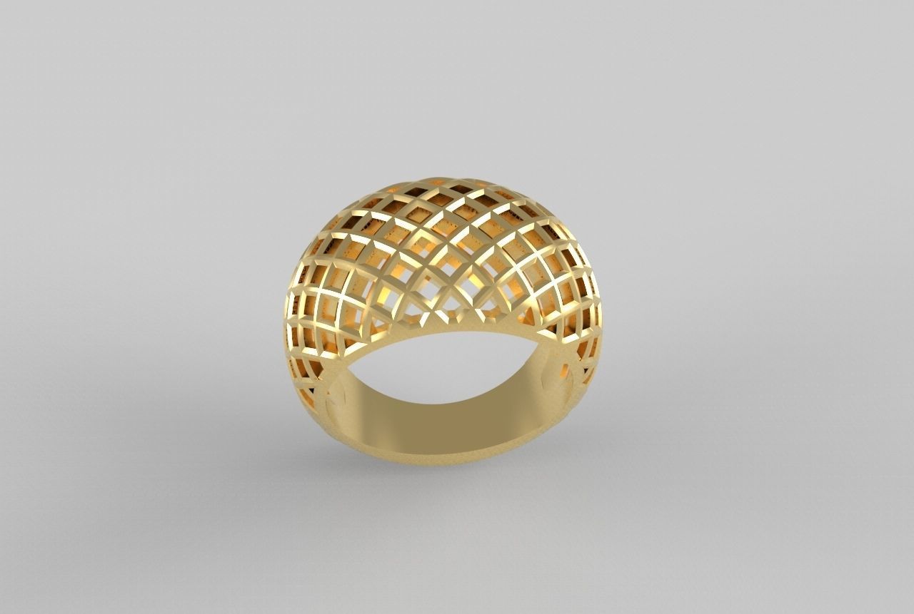 cribriform ring 3D print model_13
