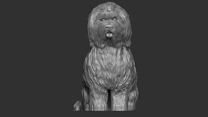 Old english sheepdog