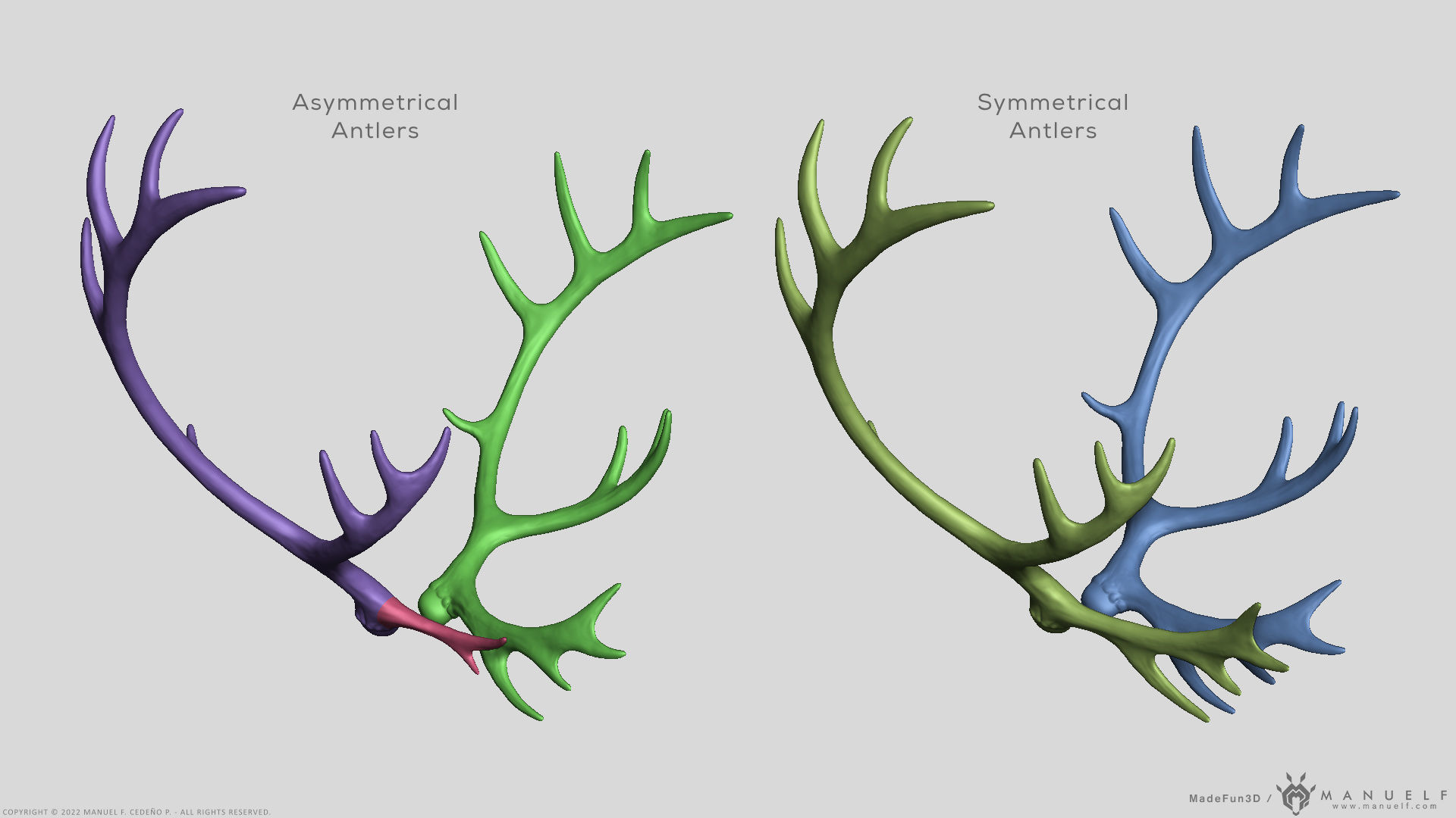 Reindeer Antlers 3D model_1