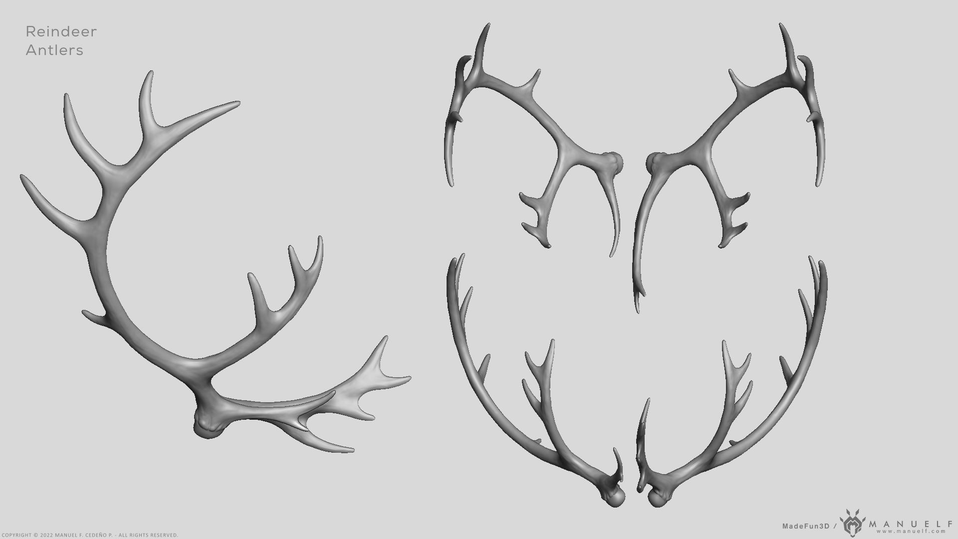 Reindeer Antlers 3D model_4