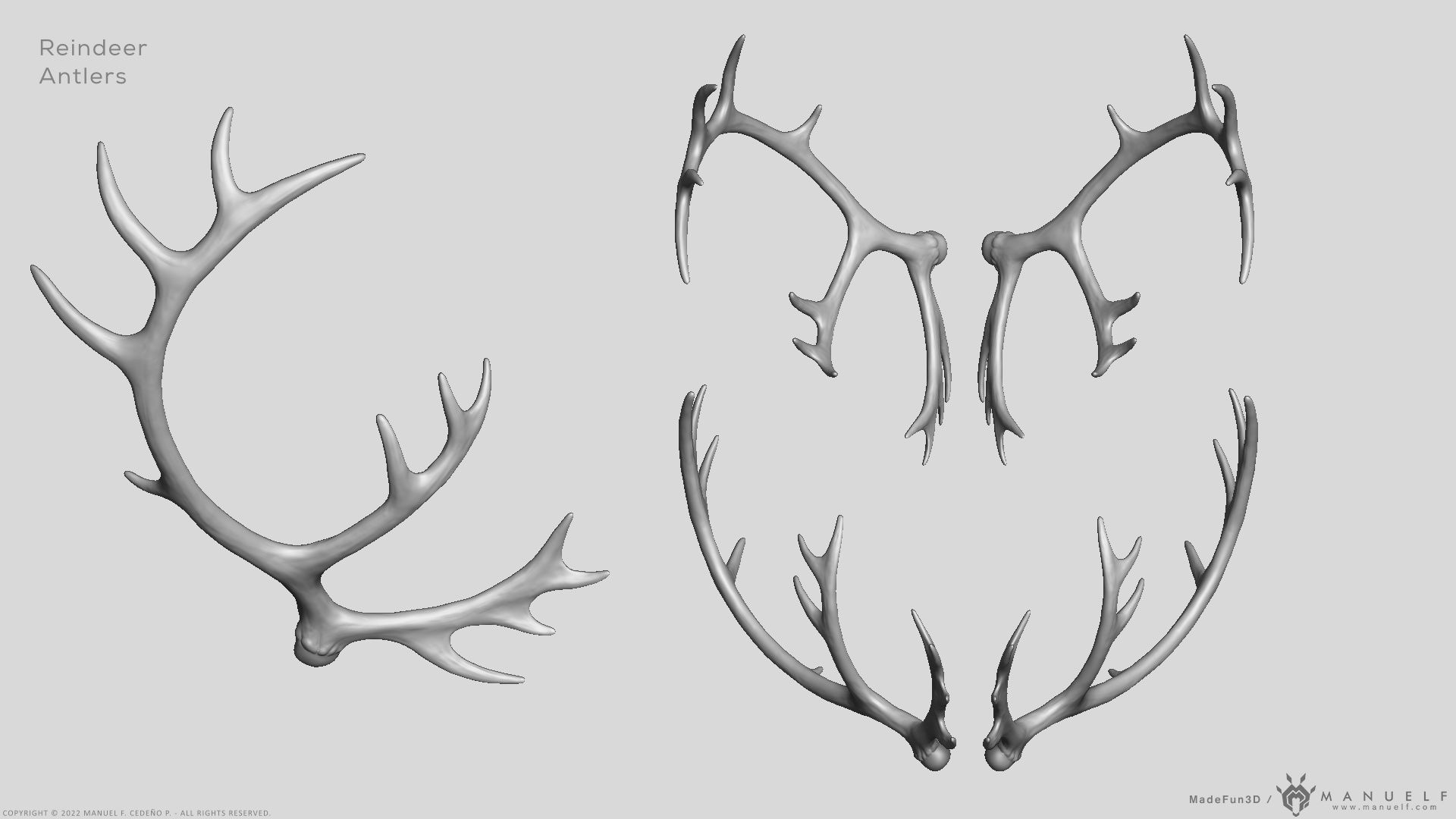 Reindeer Antlers 3D model_3