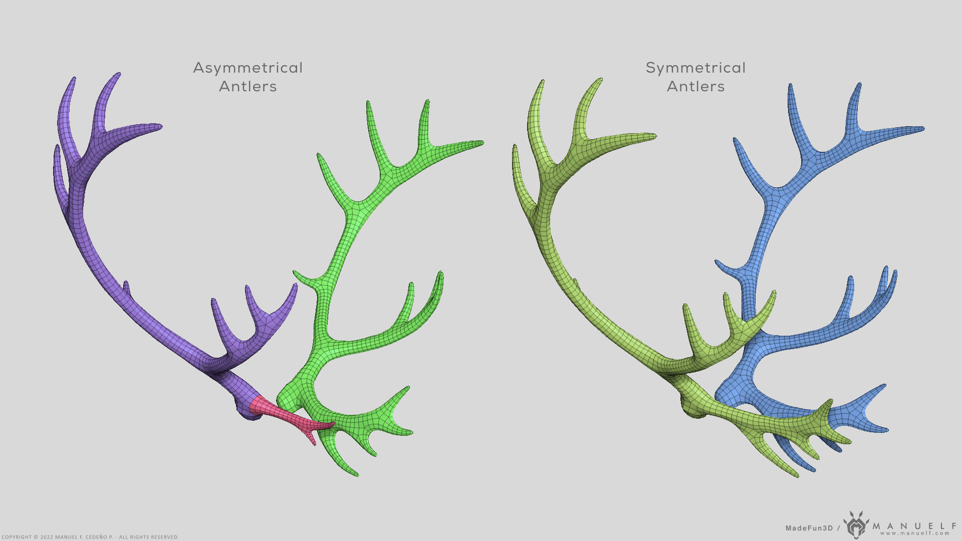 Reindeer Antlers 3D model_2