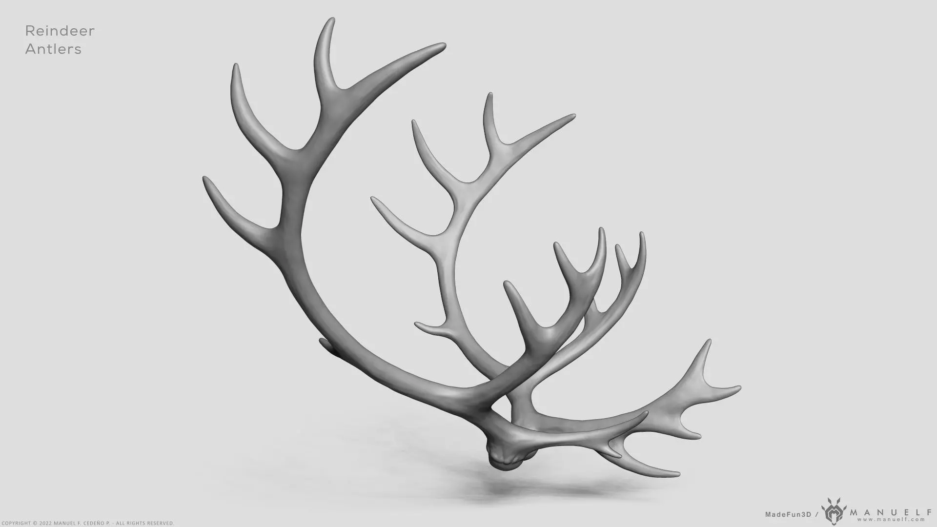 Reindeer Antlers 3D model_0
